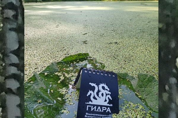 Восстановить доступ к кракену
