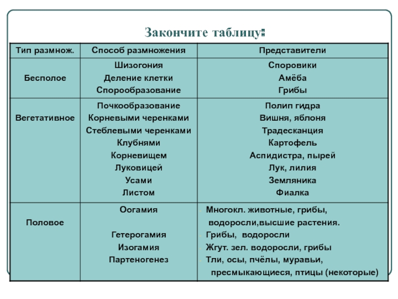 Как зайти на кракен через тор