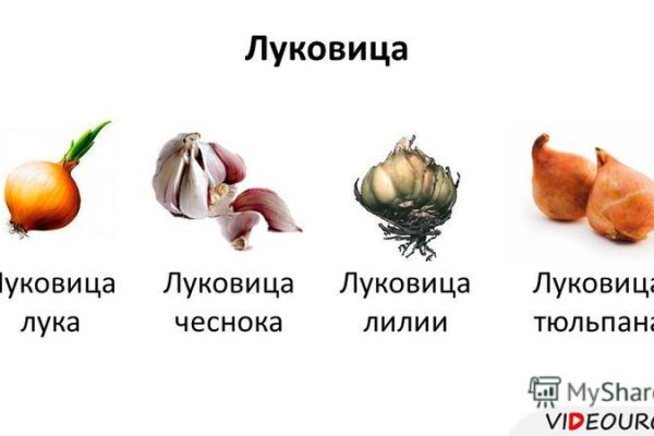 Сайт кракен закрыли