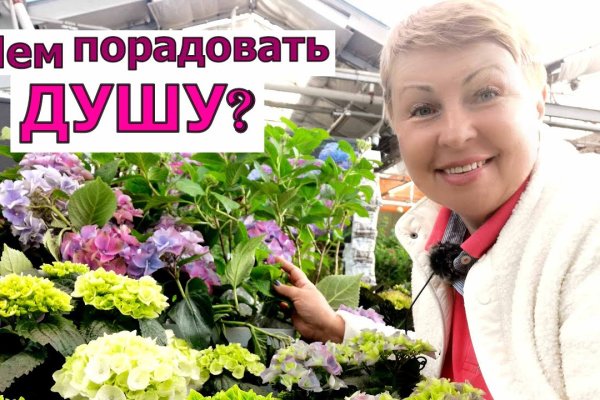 Кракен даркнет плейс